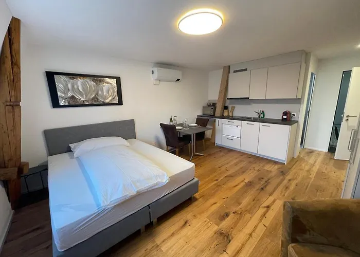 Schnyder's Studio_2 Apartment Rapperswil (St. Gallen)